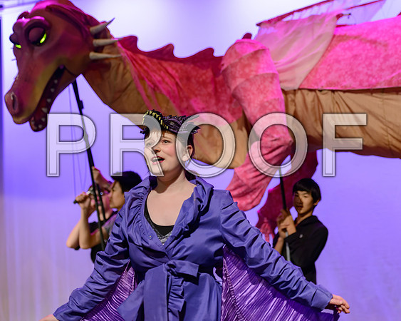 20241119-DSC_8363-Edit.JPG
