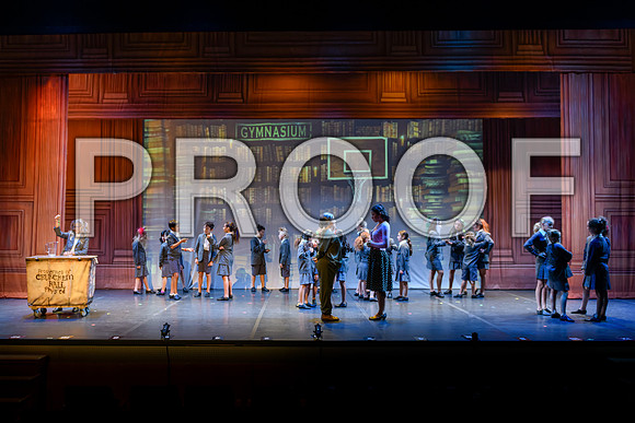 20240726-DSC_8259-Edit-Edit.JPG