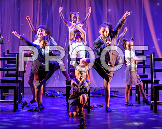 20240726-DSC_8225-Edit.JPG