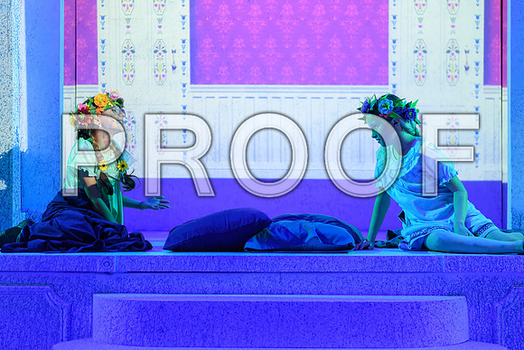 20251118-DSC_5803-Edit.JPG