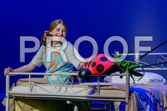 20240515-DSC_2134-Edit.JPG