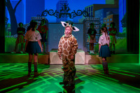 20231115-DSC_7670-Edit.jpg