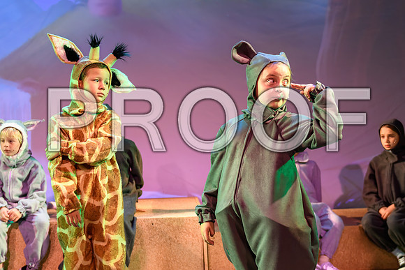 20231115-DSC_8090-Edit.jpg