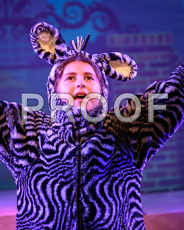 20231115-DSC_7738-Edit.jpg