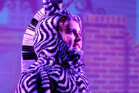 20231115-DSC_7734-Edit.jpg