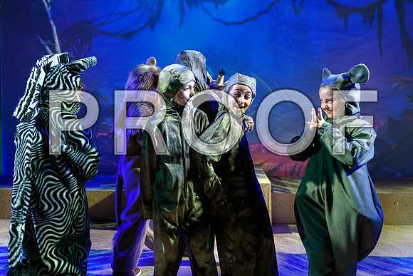 20231115-DSC_8101-Edit.jpg