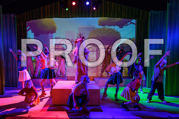 20231115-DSC_7711-Edit.jpg