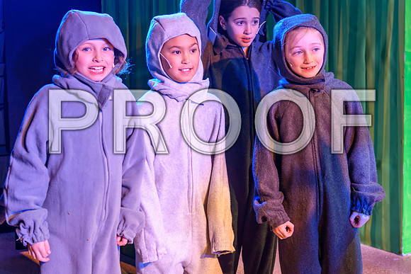 20231115-DSC_7951-Edit.jpg