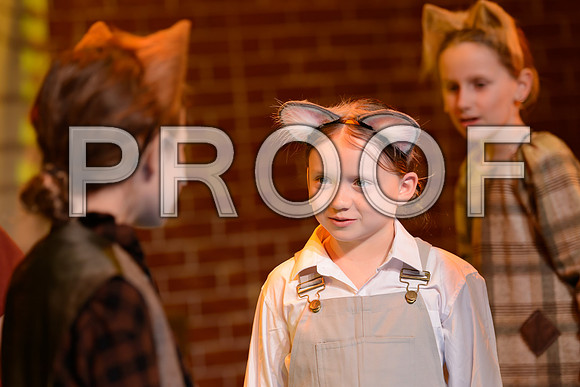 20260309-DSC_9274-Edit.JPG