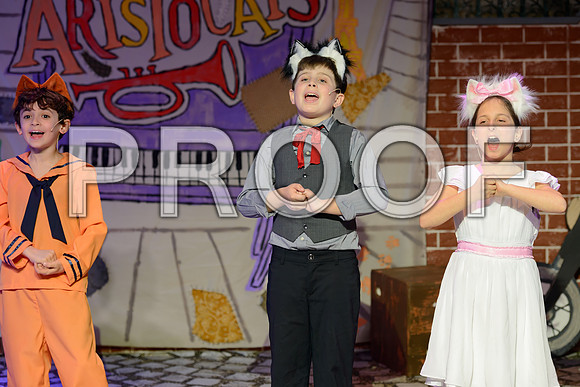 20260310-DSC_9324-2-Edit.JPG