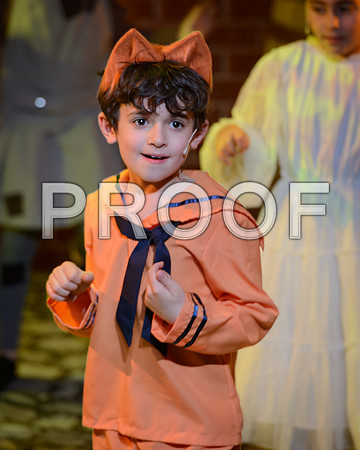 20260310-DSC_9390-2-Edit.JPG