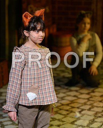 20260311-DSC_9478-Edit.JPG