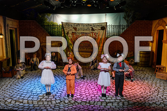 20260311-DSC_9591-Edit-2.JPG
