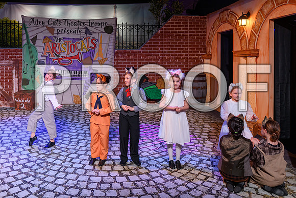 20260311-DSC_9636-Edit.JPG