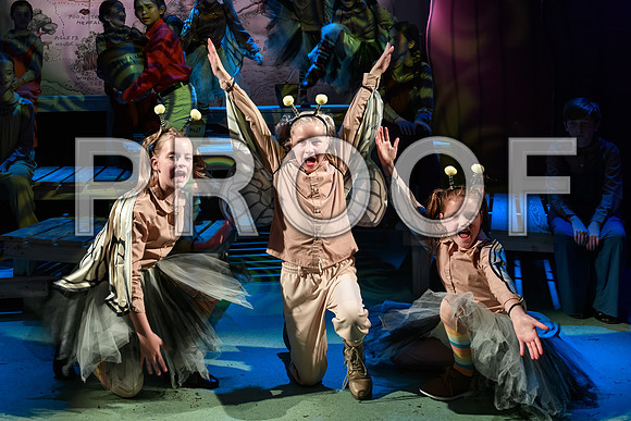 20230706-DSC_1340-Edit.jpg