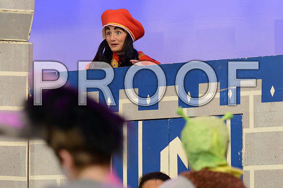 20241120-DSC_8631-Edit.JPG