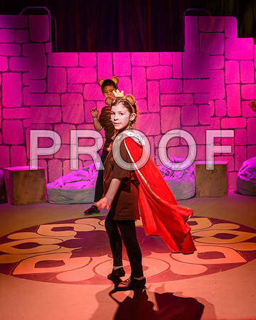 20250307-DSC_2128-Edit.JPG