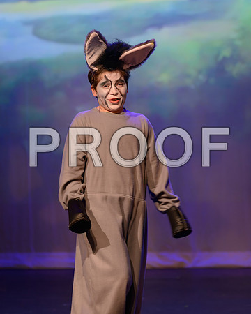 20241120-DSC_8427-Edit.JPG