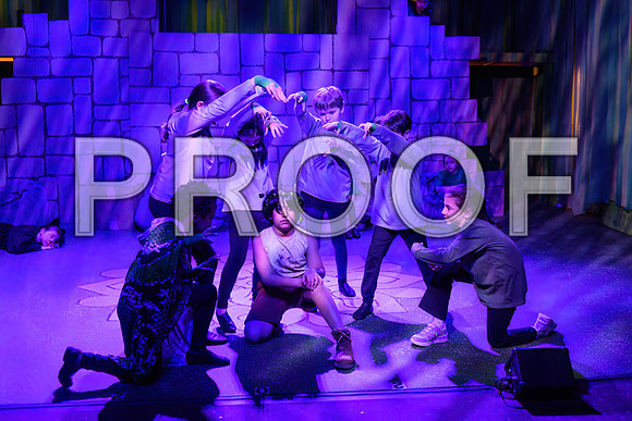 20250310-DSC_2433-Edit.JPG