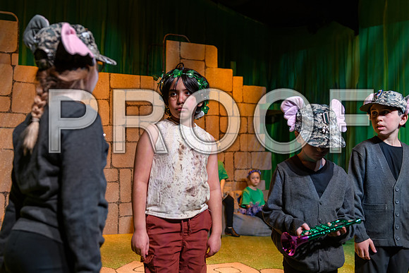 20250310-DSC_2487-Edit.JPG