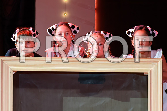20241114-DSC_5157-Edit.JPG