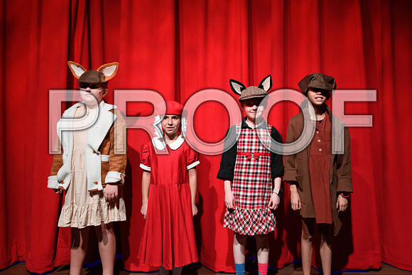 20241114-DSC_5074.JPG