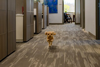 Office 2025