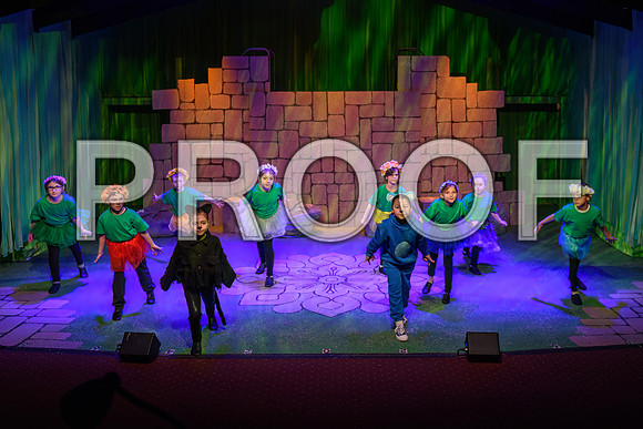 20250310-DSC_2395-Edit.JPG