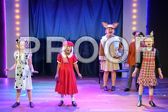 20241114-DSC_5256-Edit.JPG