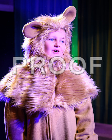 20231115-DSC_7795-Edit.jpg