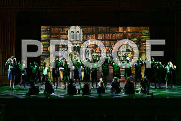 20240726-DSC_7809-Edit.JPG