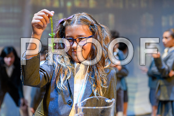 20240726-DSC_8270-Edit-Edit.JPG