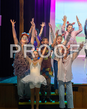 20241120-DSC_6673-Edit.JPG