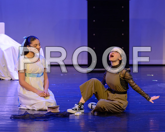 20240305-DSC_9221-Edit.jpg
