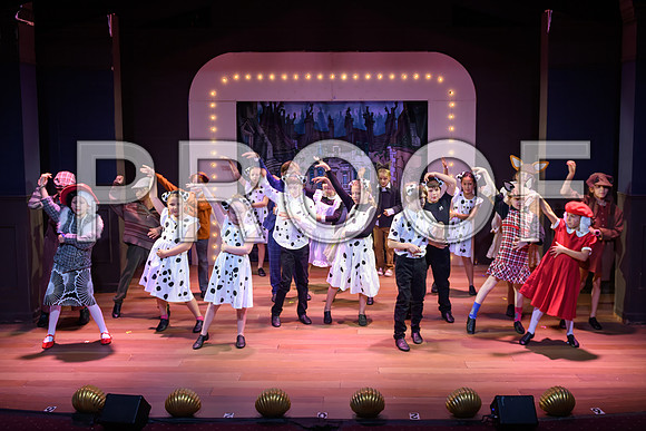 20241114-DSC_5036-Edit.JPG