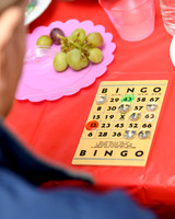 Spring Celebration (2024)