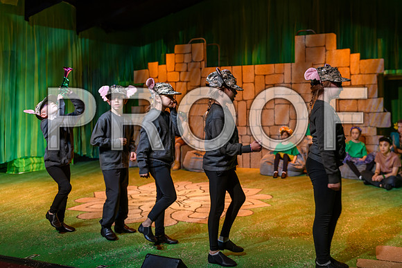 20250310-DSC_2454-Edit.JPG