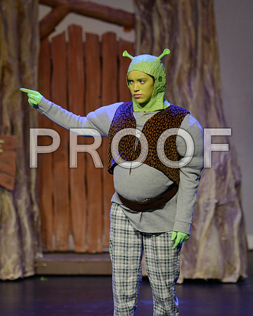 20241120-DSC_8528.JPG