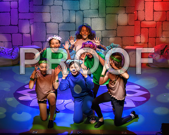 20250307-DSC_2098-Edit.JPG
