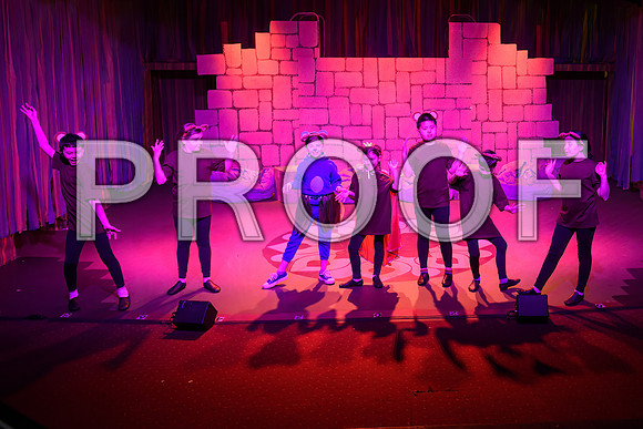 20250307-DSC_2161-Edit.JPG