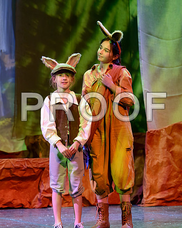 20221215-DSC_0193-Edit.jpg