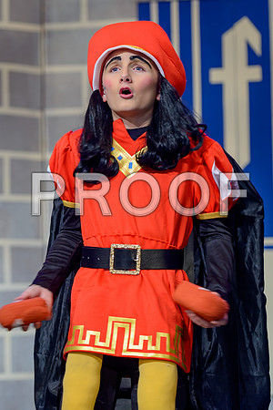 20241120-DSC_8614-Edit.JPG