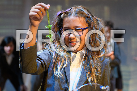20240726-DSC_8285-Edit-2.JPG