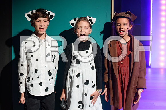 20241114-DSC_5244-Edit.JPG