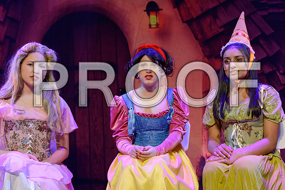 20250507-DSC_2277-Edit.JPG