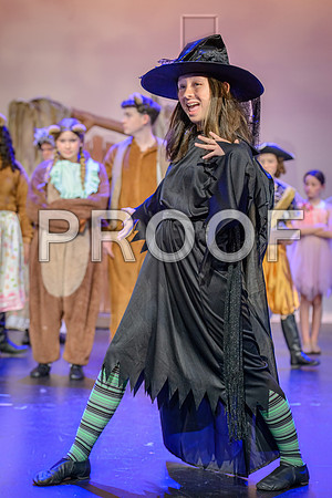 20241119-DSC_8214-Edit.JPG
