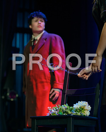 20250723-DSC_5753-Edit.JPG