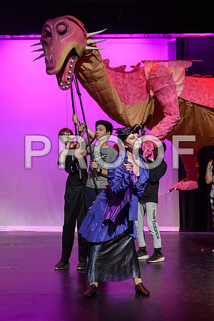 20241119-DSC_6551-Edit.JPG