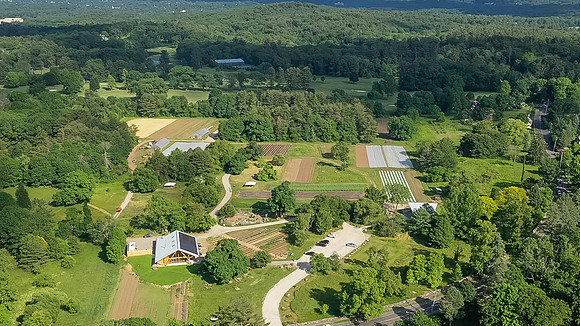 20240607-DJI_0142-1.JPG