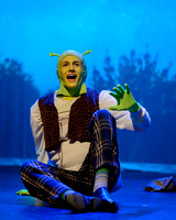 Shrek (2024)